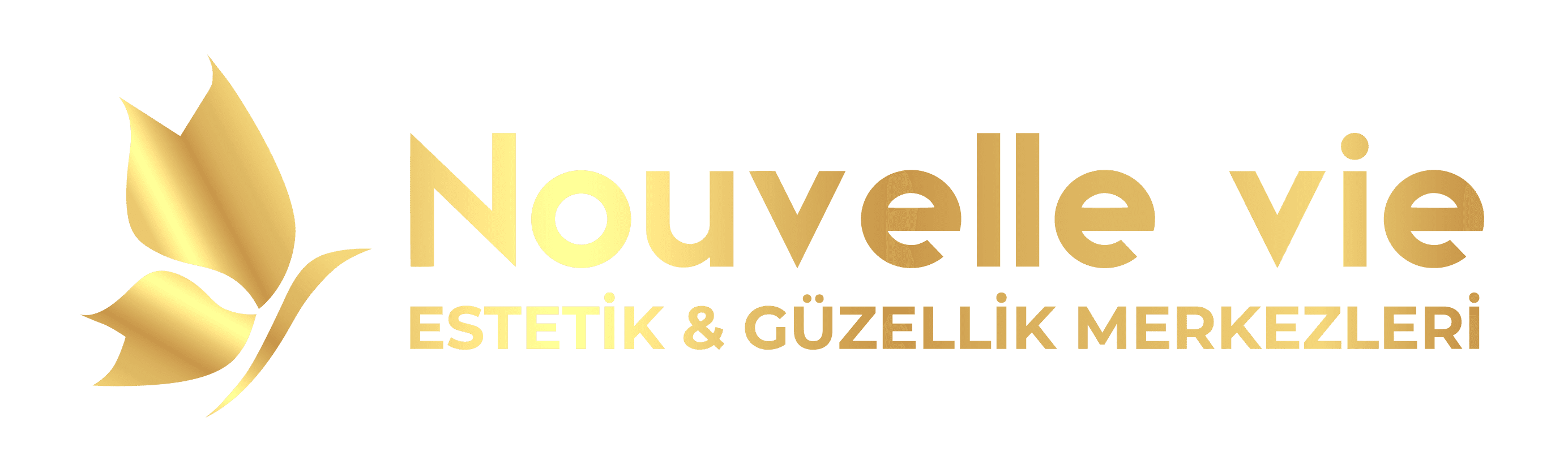 Nouvelle Vie Logo